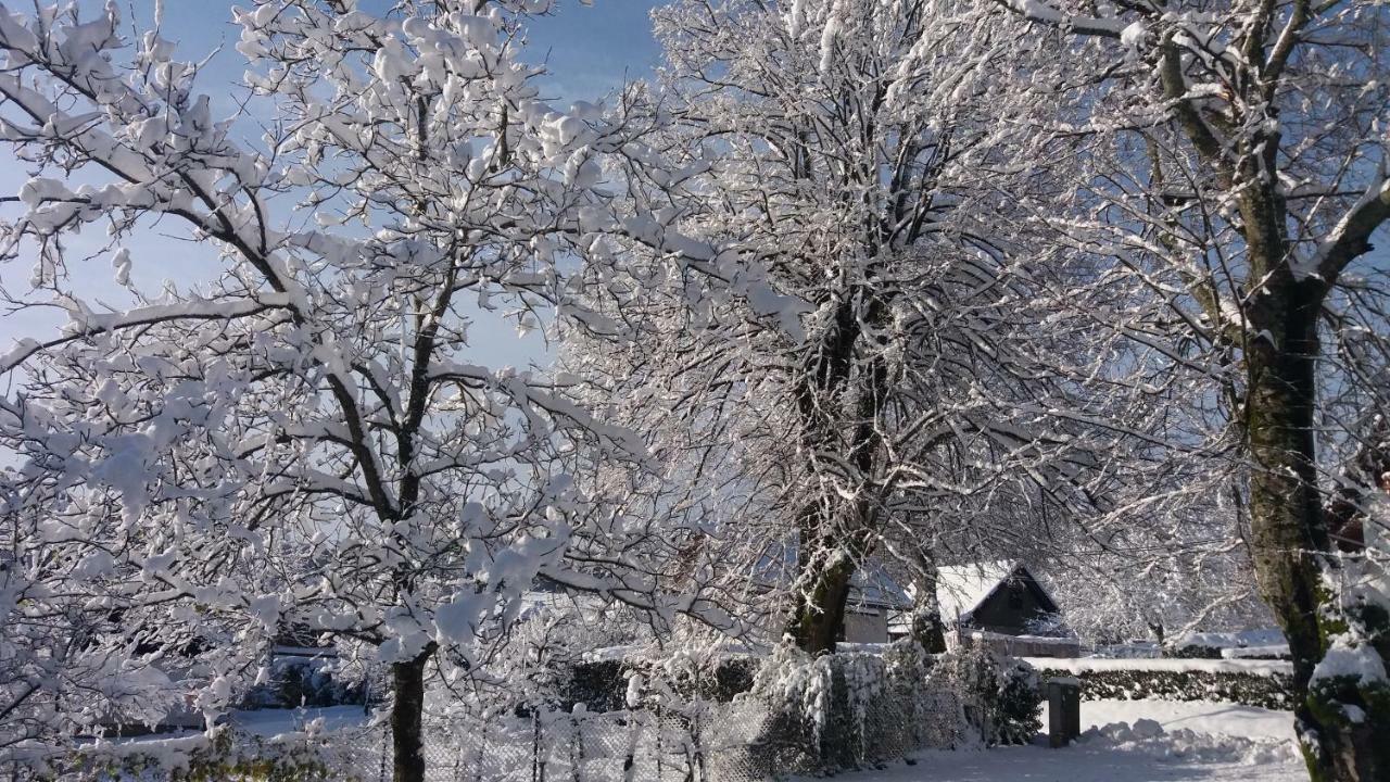 House Nenad Hotel Plitvička Jezera Екстериор снимка